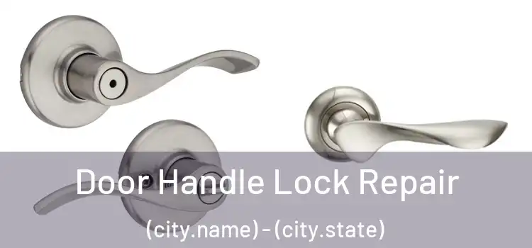 Door Handle Lock Repair (city.name) - (city.state)